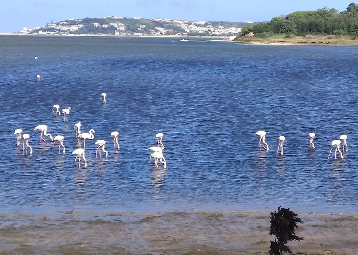 Vakantiehuis Casa Da Annelies. Accessible *